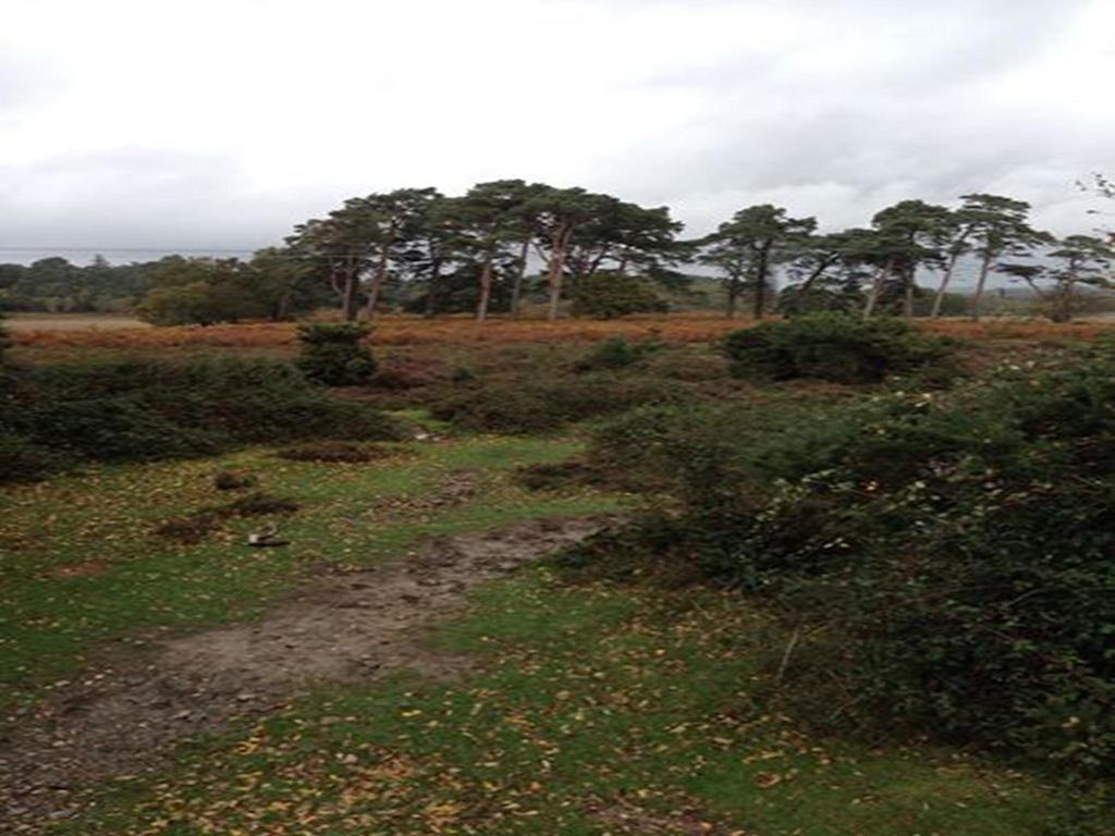 Auplands En-Suite Rooms Lymington Eksteriør billede